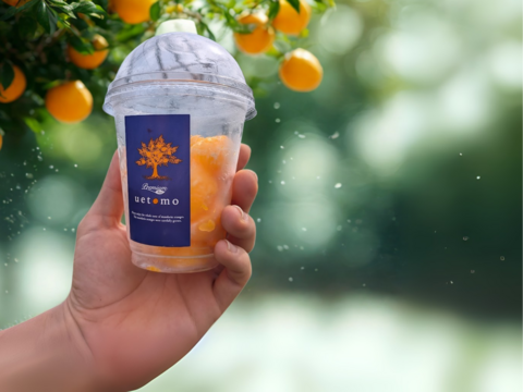 残暑を健康的に乗り切る！ふさ分け冷凍みかん（100g×12カップ）