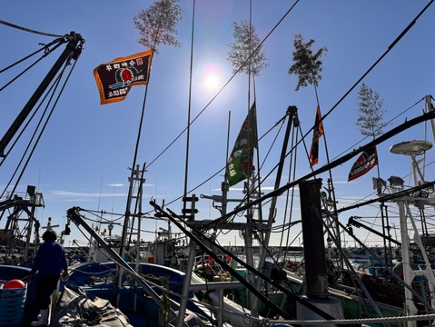 旬を味わう☆活〆鰆のひもの2P(4-6切れ)