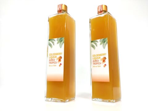【福袋】新商品✨陽光の輝き　自然派リキュール🍹ゴールデンベリーリキュール「AUREA TROPICA」🍊セミドライゴールデンベリーセット