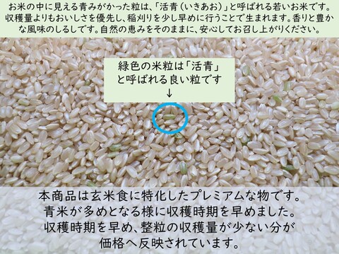 2026年度産予約】玄米食に最適「品種：はるみ」10kg 自然栽培米 新米
