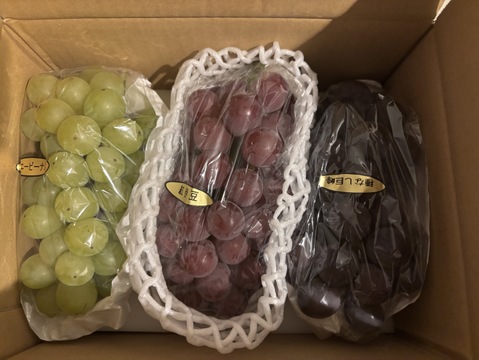 🍃🍇旬のぶどう3種詰合せ🍇🍃 🟣3種類/各1房入 🟢約1.7㎏位詰合せ