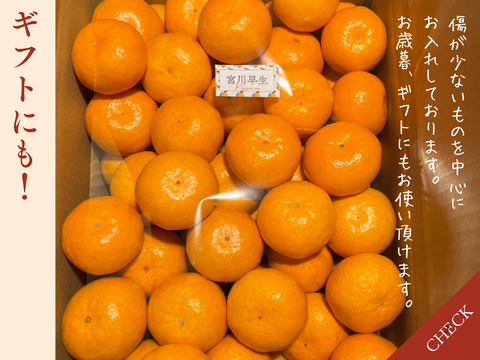 【完熟有田みかん】3キロMサイズ　ギフトにも！　温州みかん　宮川早生　早生みかん　低農薬　【冬ギフト】