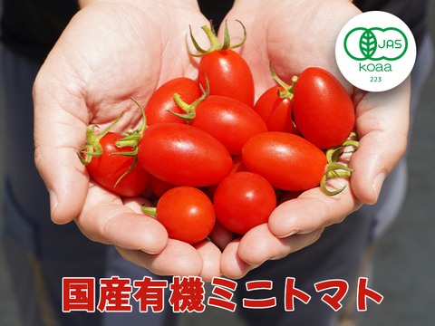 【有機ミニトマト1㎏】宮崎県産 アイコミニトマト
