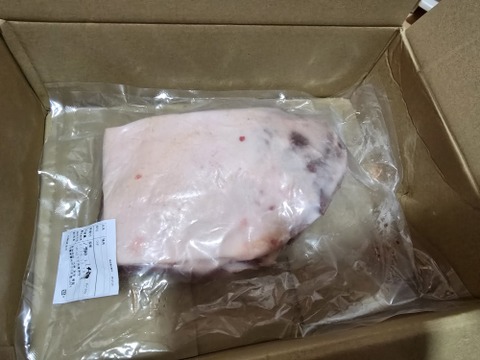 【BBQ】【ぼたん鍋】猪肉ウデ　1900g【ジビエ】熨斗対応可