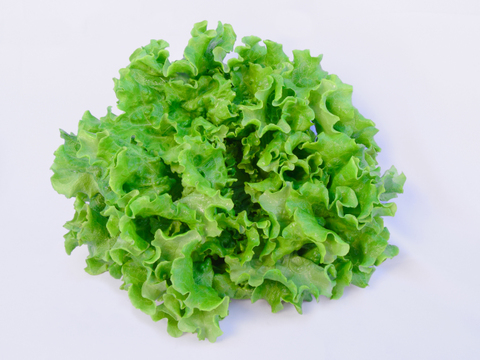 🥬【リーフレタス】🥬
【水耕栽培】シャキッ！うまっ！1kg　170g～200g × 5～6玉