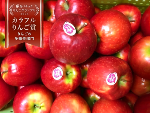 【12月9日から🍎】ピンクレディ®︎  5キロ箱 16玉〜33玉サイズ  長野県 信州 安曇野 リンゴ 幻 幻のリンゴ 予約 希少 ID64029 ピンクレディー