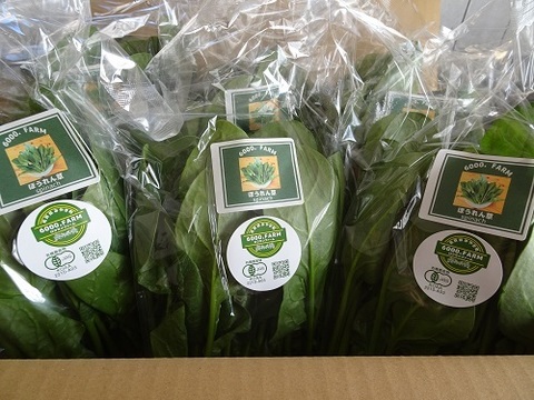 【有機JAS認証】ほうれん草　900g(150g×6パック)