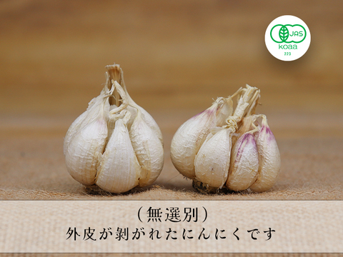 【宮崎県産】 令和６年度産新有機にんにく王（無選別１㎏入)