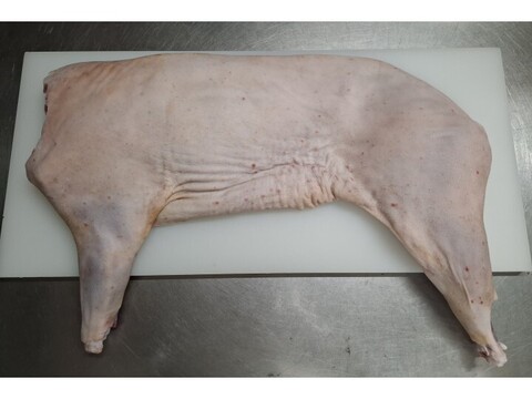 ◎！！特価！！◎★キャンプやBBQに！半身丸焼き用★やわらか仔イノシシ【皮付き・骨付き】6kg