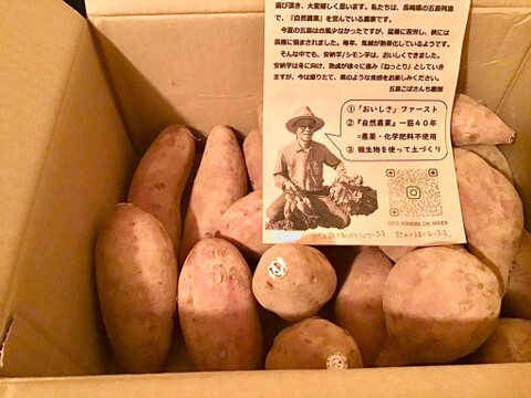 《売り切れ》手のひらサイズM こばさんち安納芋５KG  五島産 自然農業での栽培