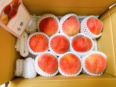 運命の出会い⁉️【67品種の桃を栽培】品種は何が届くかお楽しみ！白桃3㎏【夏ギフト】
