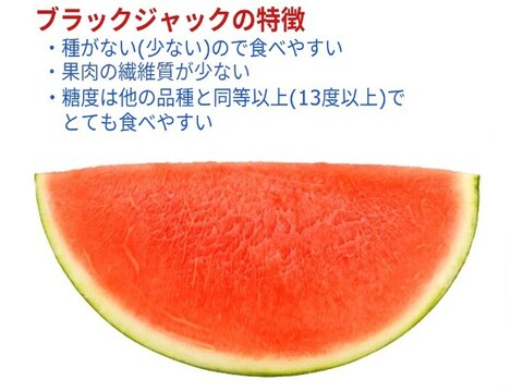 【予約受付】種のない(少ない)甘～い大玉尾花沢すいか  ブラックジャック L  1玉 山形産【夏ギフト】
