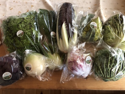 お料理の幅が広がる！季節の西洋野菜Italian selection 80サイズ