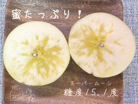 【極じゅわ甘💕】お手軽サイズ！訳ありサンふじりんご🍎3kg【スーパームーンりんご1個付き】
