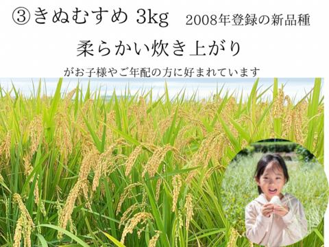 玄米3種食べ比べ9kg ひとめぼれ、ミルキークイーン、きぬむすめ　3ｋｇ×3種　合計9kg　静岡県産　令和4年度