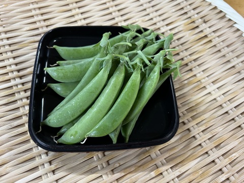 淡路島からお届けする新鮮野菜セット Sサイズ（6〜8品入り）