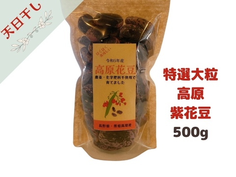 ほくほく美味しい！『特選大粒 高原紫花豆』農薬・化学肥料・除草剤不使用  500g
