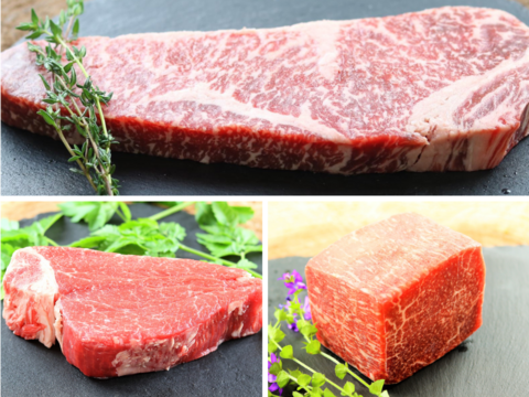 【25％OFF】［～8/10まで］超豪華♪ おうちで肉日和セット（ヒレ・サーロイン・ローストビーフ用ブロック）