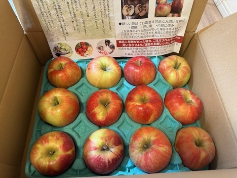 【家庭用】紅玉 約2.5kg(7-14玉) 昔ながらの酸っぱい林檎 9月下旬頃発送開始予定 #NAK0B025
