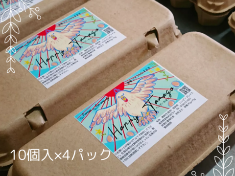 【北海道から】希少な放し飼いコッコの新鮮たまご　10個 × 4パック