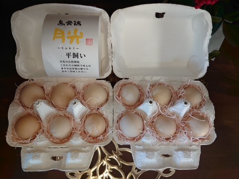 【12個(6個入り2パック)】産みたて平飼い烏骨鶏の新鮮卵  (1個あたりの重量約30g以上)【ﾃﾚﾋﾞ東京昼めし旅で紹介されました！】