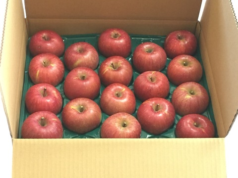 【2023年11月中旬より順次発送】信州名月オバステりんご（贈答用ふじ）約10kg