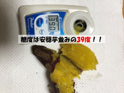 有機さつま芋（シルクスイート・べにはるか）3kg