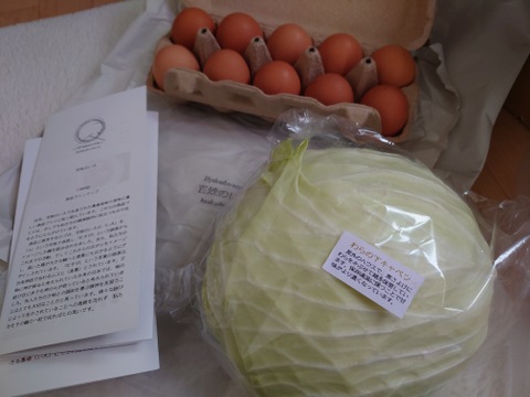 【北海道発】【キャベツも入ります】平飼い鶏の有精卵＆季節の有機野菜セット【冬ヴァージョン】