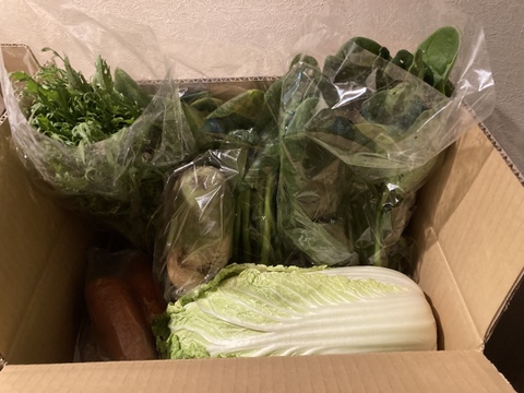 【くさぶえ農園】旬＊お試し野菜セット(6品目)