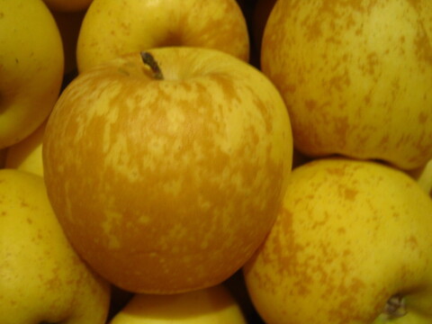 完熟はるか(有袋) 小玉(サビ) 家庭用 総重量 約3.8kg 青森県 南部地方産 自家りんご農園生産直送品！