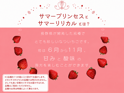 【お買い得】たっぷり食べたい夏イチゴ【訳アリ品】