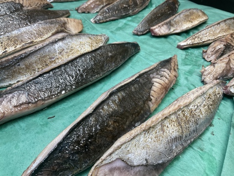 【秋の旨魚】迷いヒラソウダガツオ/特大/炙りタタキ/1.8～2㎏前後/半身/【冷凍】