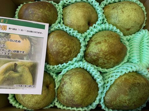 【福袋】 食べ頃出荷だから安心！【 特秀品 ラ・フランス！洋梨】 約3㎏ 贈答・ギフト （8玉～13玉入）