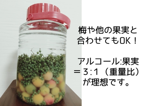 初心者セット♪レシピ・サンプル3種・お茶付き★うまぶどう果実450g【冷凍】