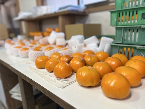 渕高重　五段　茶道具　柿合　花鳥 茶道具 香合（こうごう） 赤楽 柿 香合 吉村 楽入 | 千年の香り