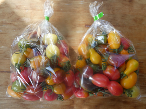 彩り豊かなこく旨カラフルミニトマト　１ｋｇ（５～７品種入）