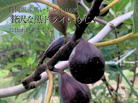 〈メール便〉砂糖不使用　黒ドライいちじく　国産ドライいちじく　静岡産　牧之原市ふるさと納税品に採用　180g（Mitsuricchi®製法）メール便　静岡県産　国産