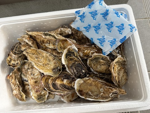 『旬』到来！　バラ牡蠣　生食用　５kg （３5～４０個くらい）