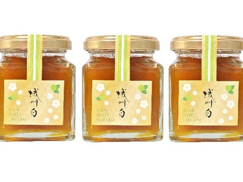 爽やかな朝のスタートに梅のピュアな香りと酸味の効いた【梅ジャム】150g入り。3個。パンにもヨーグルトにも最適です。
