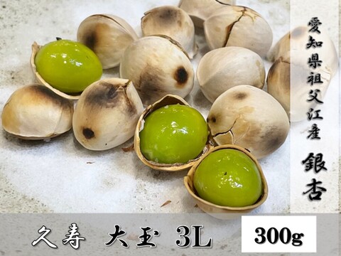 【秋の味覚】苦味が少ない、もっちもち祖父江銀杏【久寿】大玉３Ｌ３００ｇ（約70粒程度）