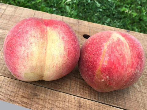 【訳あり】白桃(品種おまかせ)  約2.8kg(5-14玉) 7月上旬頃~8月下旬頃　信州桃をお届けします #NPR0B028