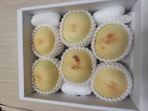 訳あり桃】清水白桃（2kg箱）：岡山県産の白桃｜食べチョク｜産地直送