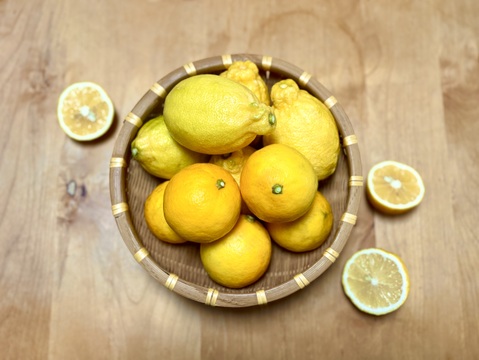 残留農薬ゼロのレモン！マイヤー2kg【佐賀県産たきのれもん】