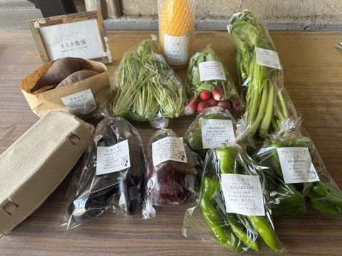 【まるき農園お得パック】農薬不使用旬野菜8品・平飼い卵10個・ぴゅあみかんジュース