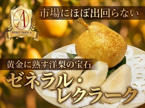【市場に滅多に出回らない】銀座千疋屋元チーフパティシエ監修【果匠ブランド洋ナシ】黄金に熟す洋梨の宝石🍐ゼネラル・レクラーク🍐約1.5kg【秋ギフト】【2026年10月下旬予約】
