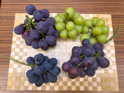 🍇訳あり  多品種セット🍇  約1.8kg【岡山県産】種なしぶどう