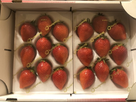 【完熟】JGAP認証食べ比べ2品種セット(2パック入り)千葉県産