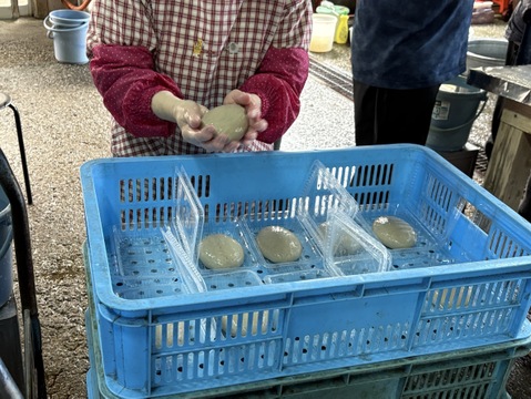 魚のハンバーグ！あまくさ晩柑（河内晩柑）蒲鉾5個