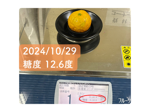 超ジューシー！ゆら早生 有田みかん 3ｋｇ 家庭用