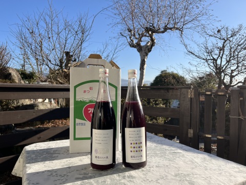 【冬ギフト】ワイン用ぶどうで作ったジュース　赤2品種各1本　飲み比べセット　720ml✖️2本